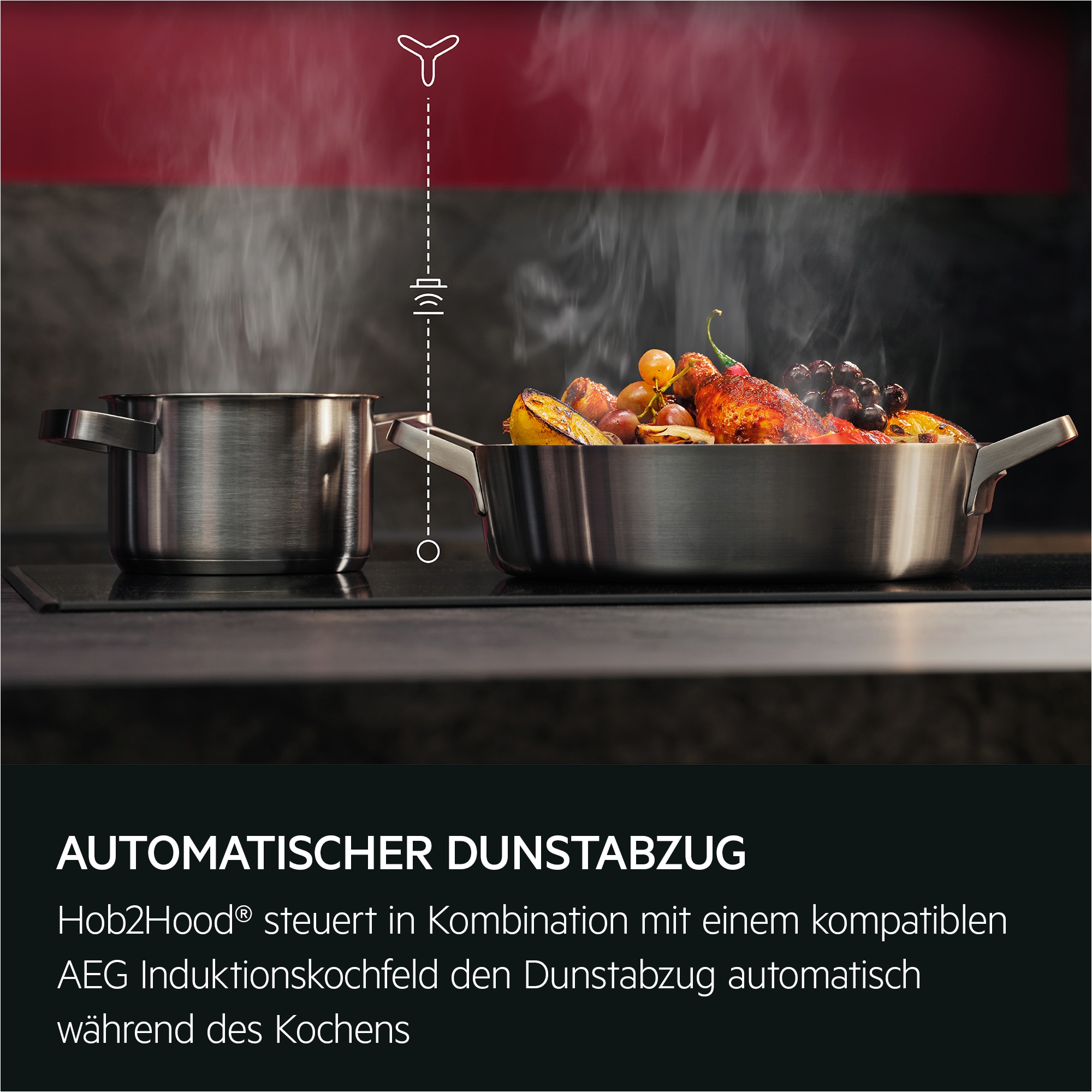 AEG - Schwarze Dunstabzugshauben - DVK5961HB