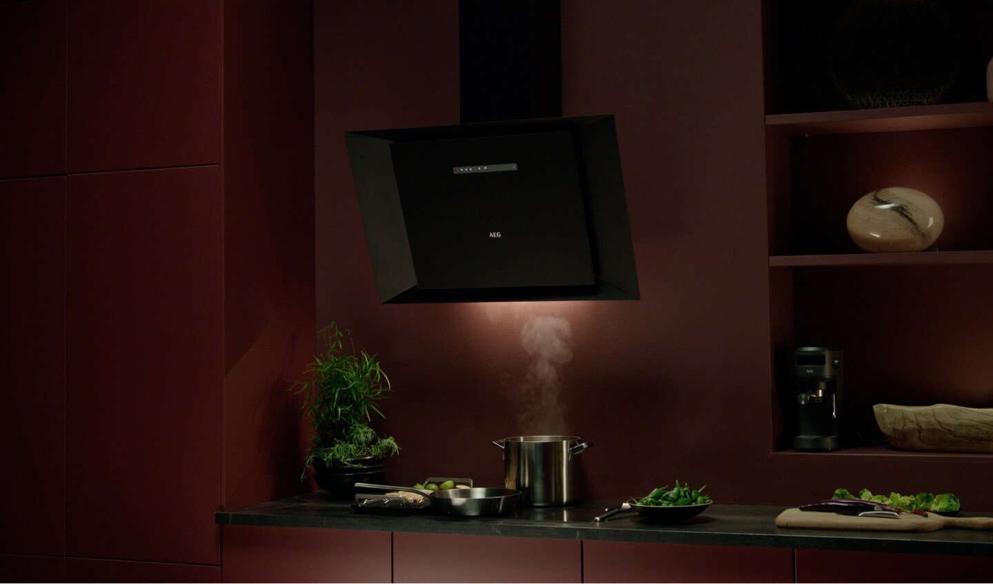 Wall-mounted hood